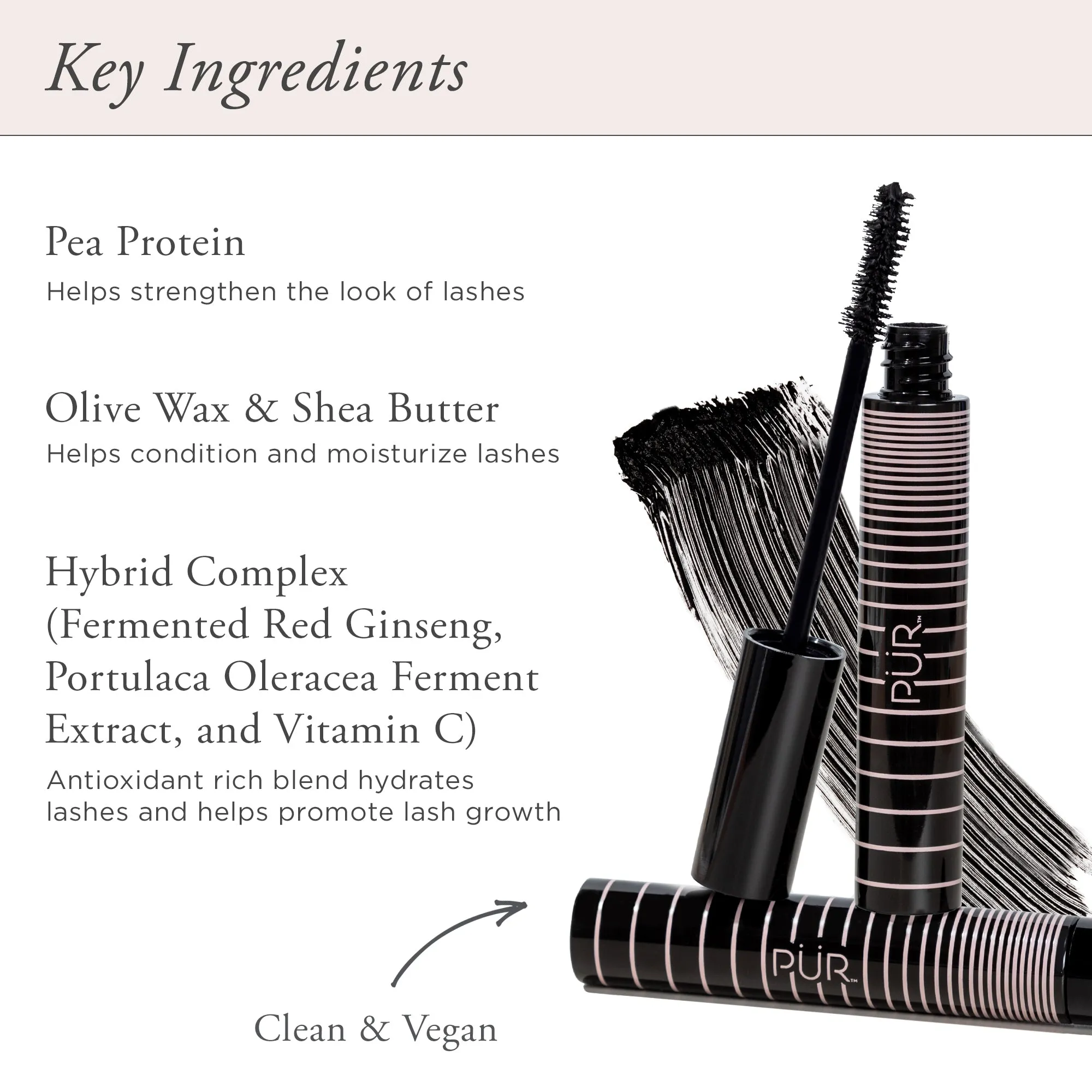 The Essential Eye Set