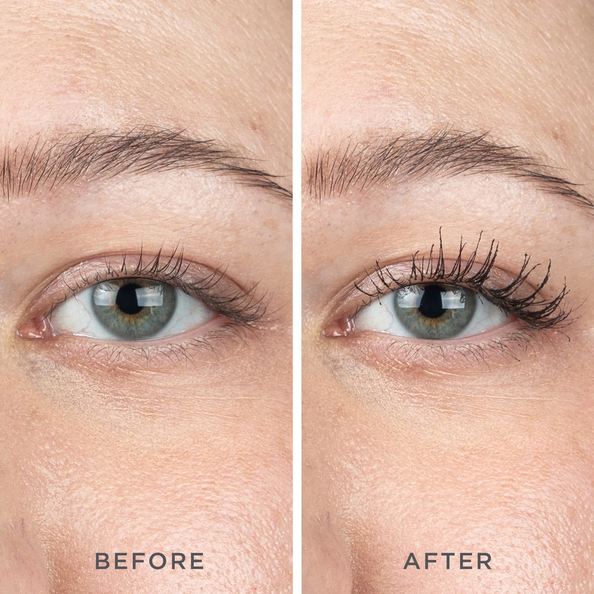 The Essential Eye Set